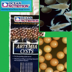 Artémia pete Ocean Nutrition 100g (230 NPG)