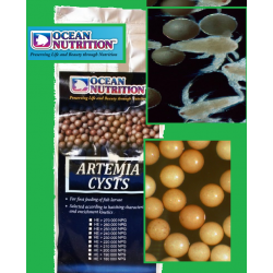 Artémia pete- (kis adag)--- Ocean nutrition10g (230 NPG)- 